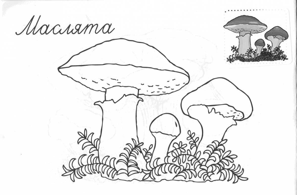 Great mushroom coloring book for kids