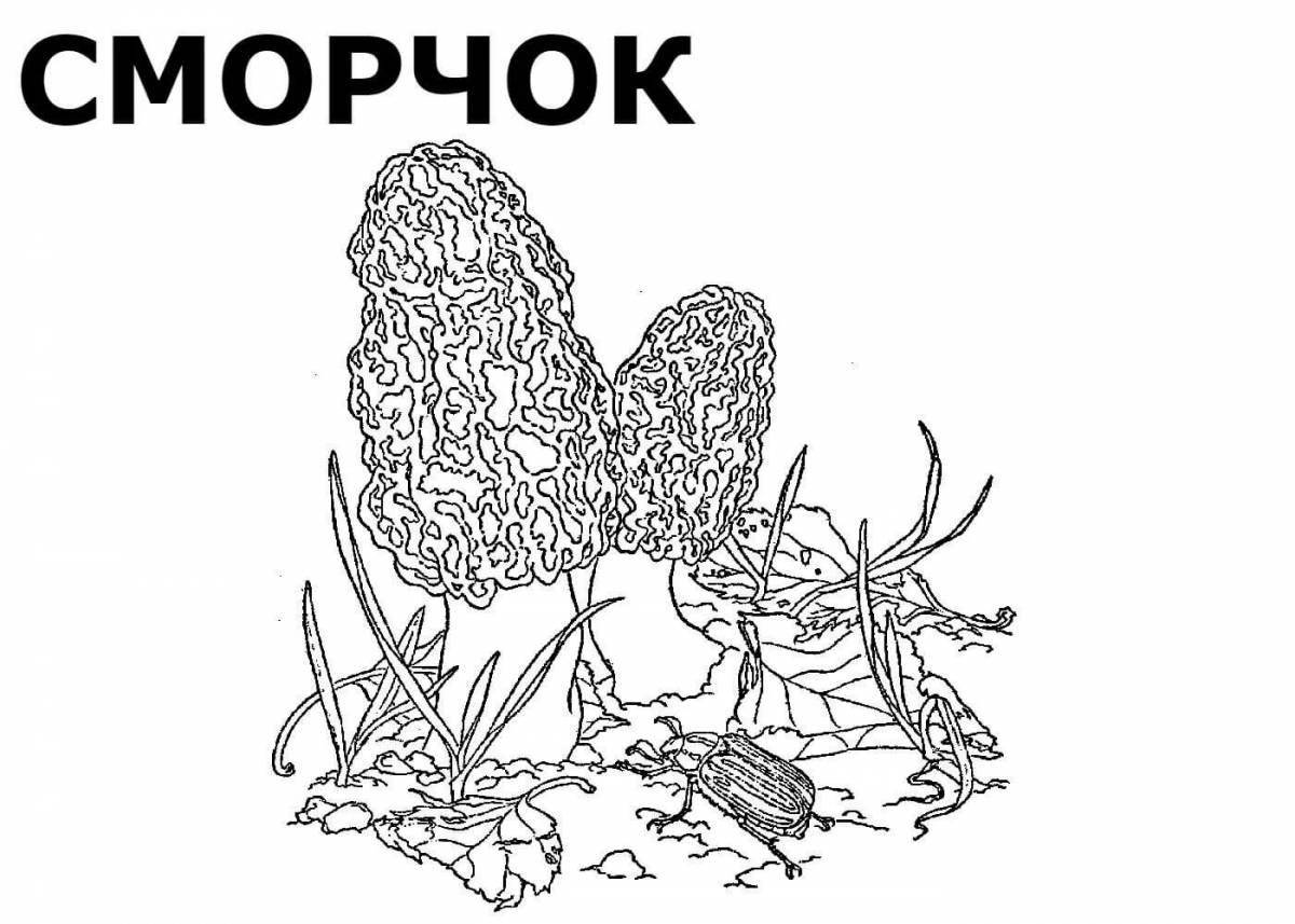 Shiny mushroom coloring book for kids