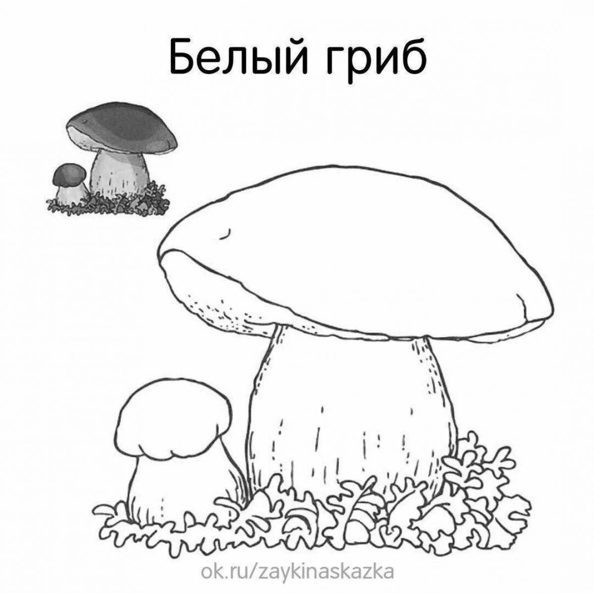 Fancy coloring mushrooms for kids