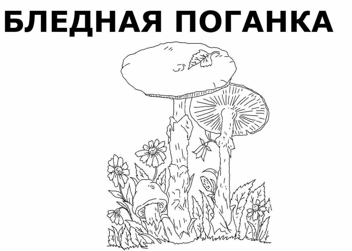 Coloring mushrooms for kids