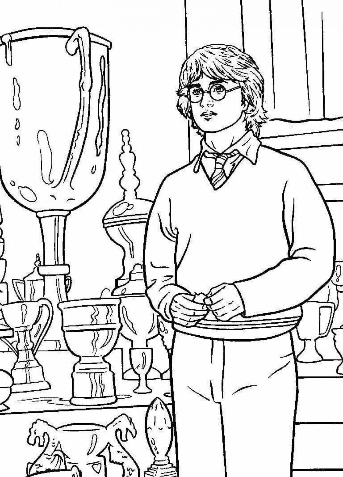Harry Potter and the Chamber of Secrets wonderful coloring book