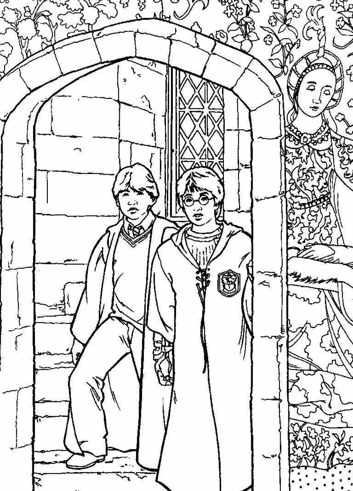 Impressive harry potter and the chamber of secrets coloring book