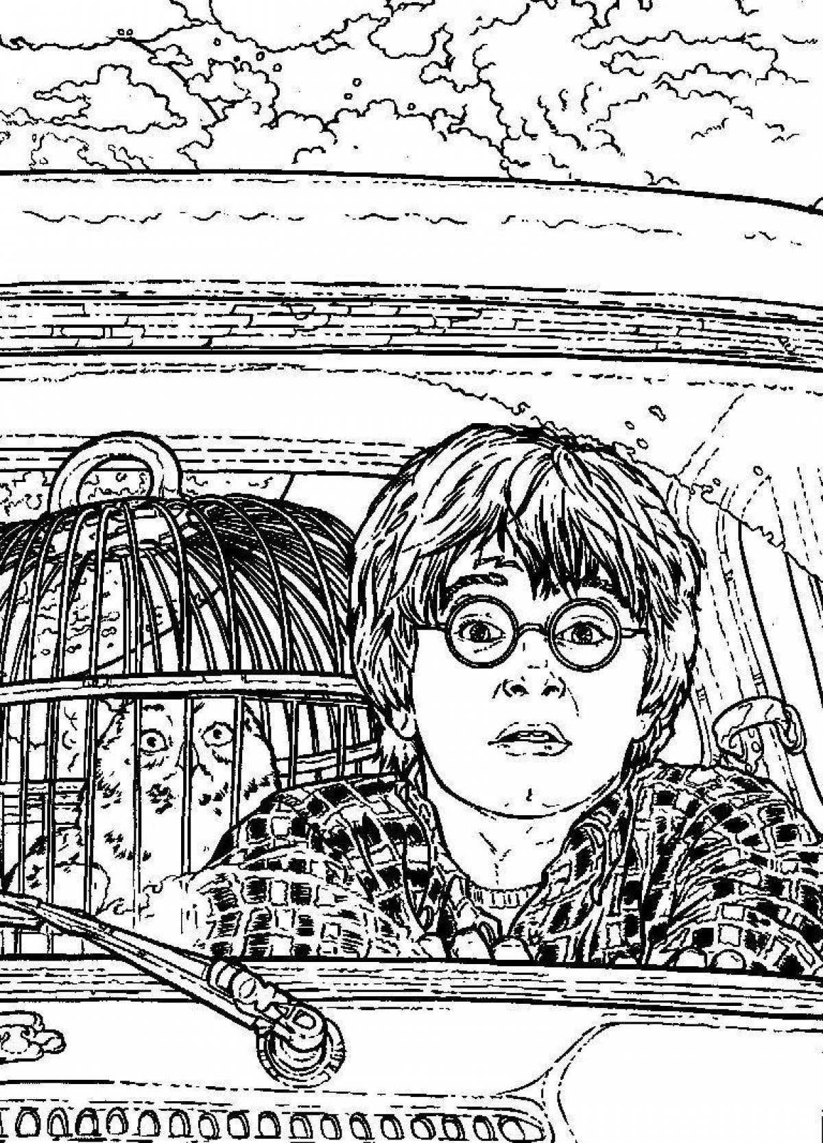 Harry Potter and the Chamber of Secrets #5