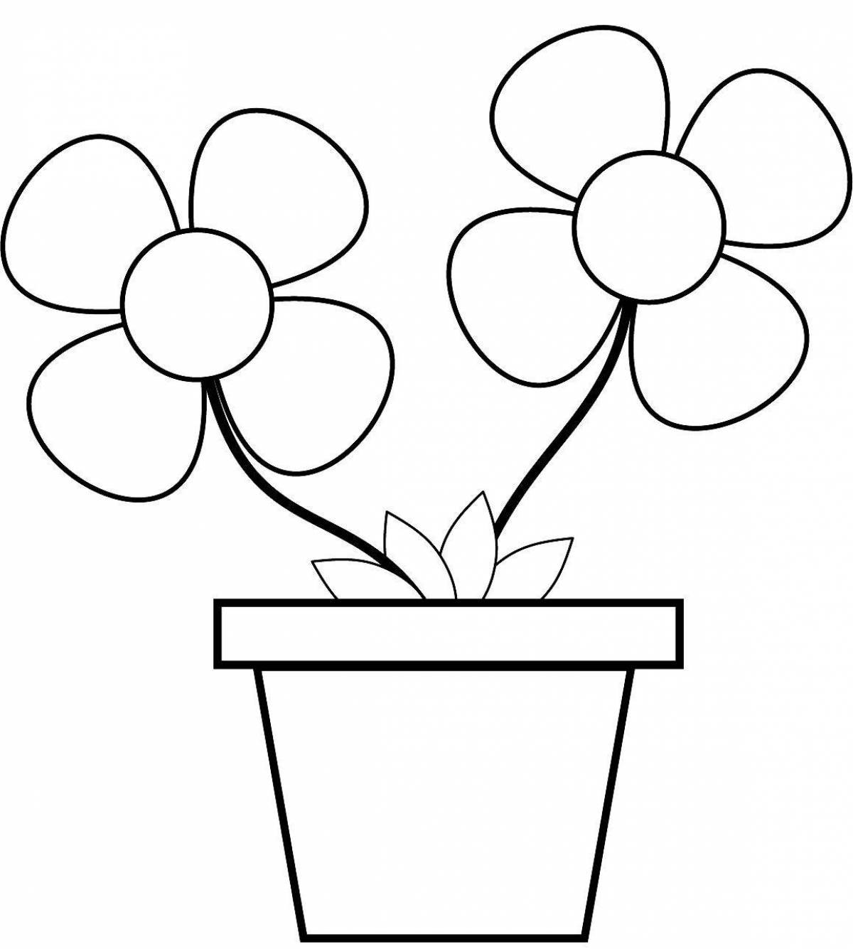 Colorful flower pot coloring book for kids