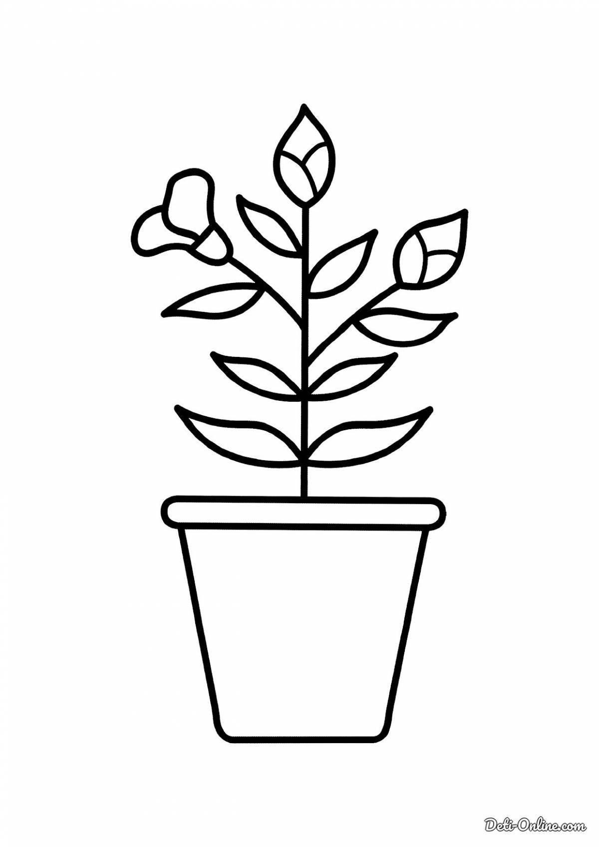 Coloring page happy flower pot for kids