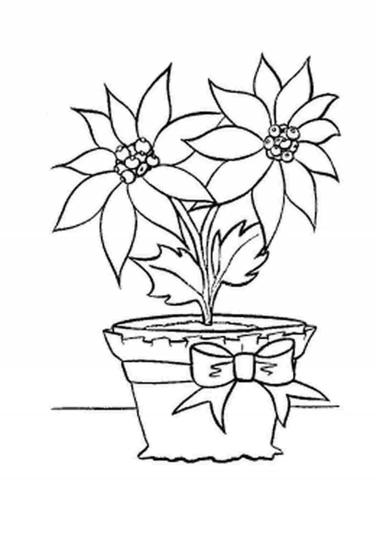 Coloring book magical flower pot for kids