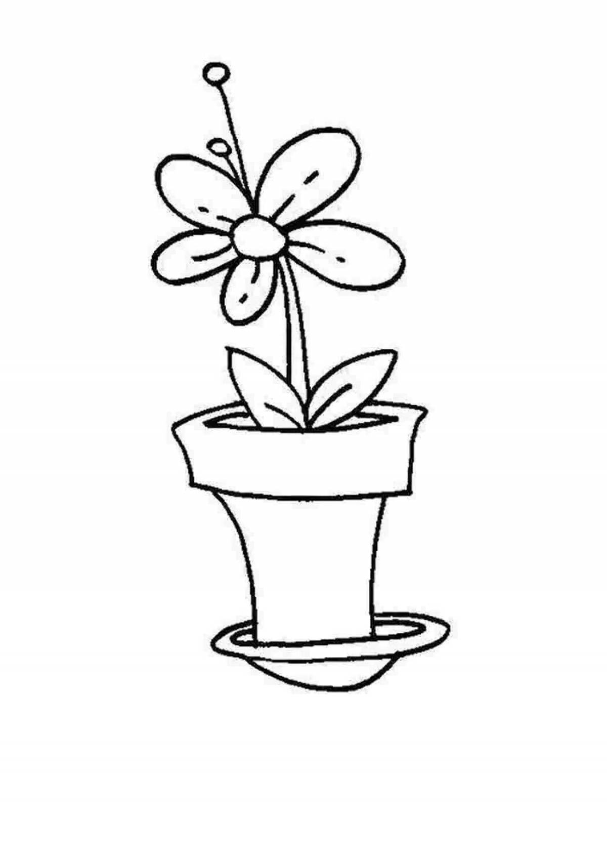 Gorgeous flower pot coloring book for kids