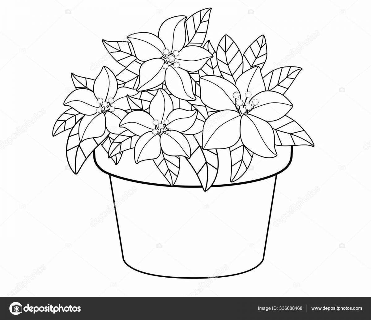 Adorable flower pot coloring book for kids