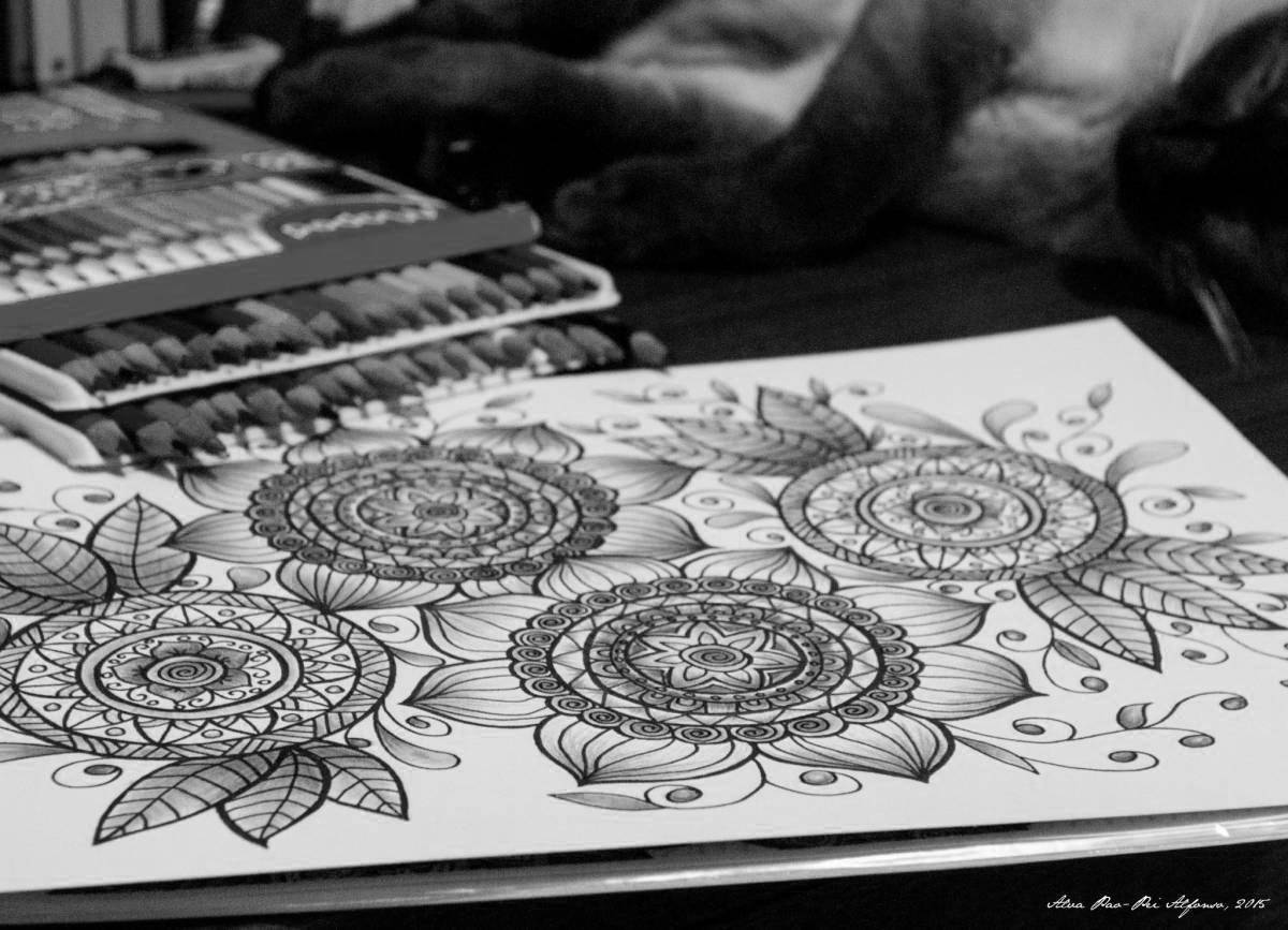 Joyful coloring which pencils are best for antistress