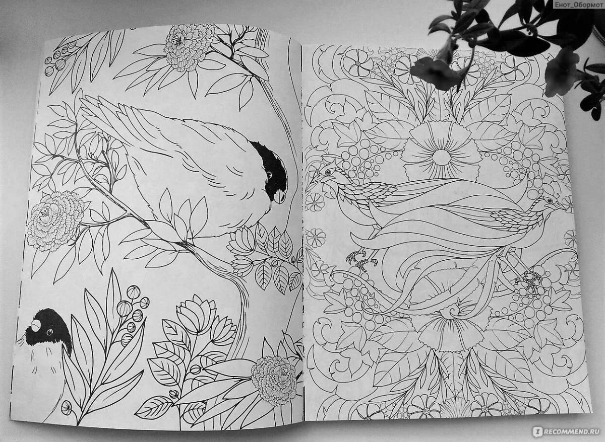 Fun coloring book which pencils are best for antistress