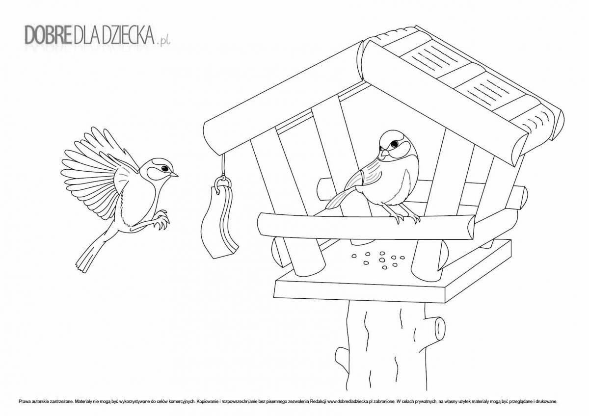 Coloring page playful bird feeder