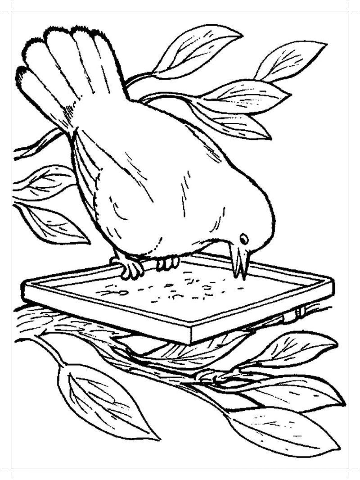 Adorable bird feeder coloring page