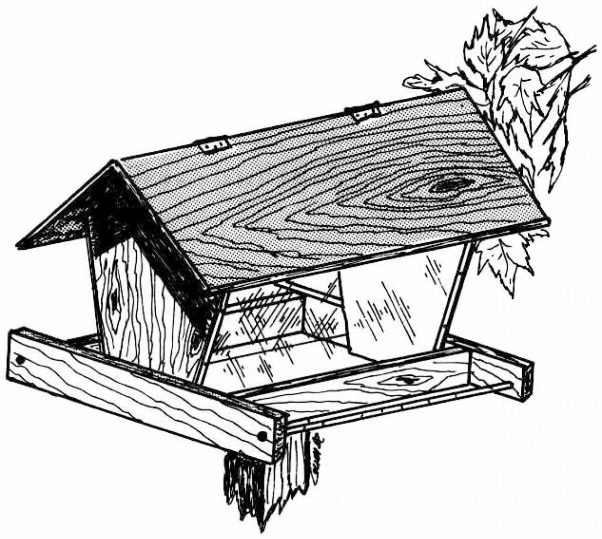 Fun bird feeder coloring book