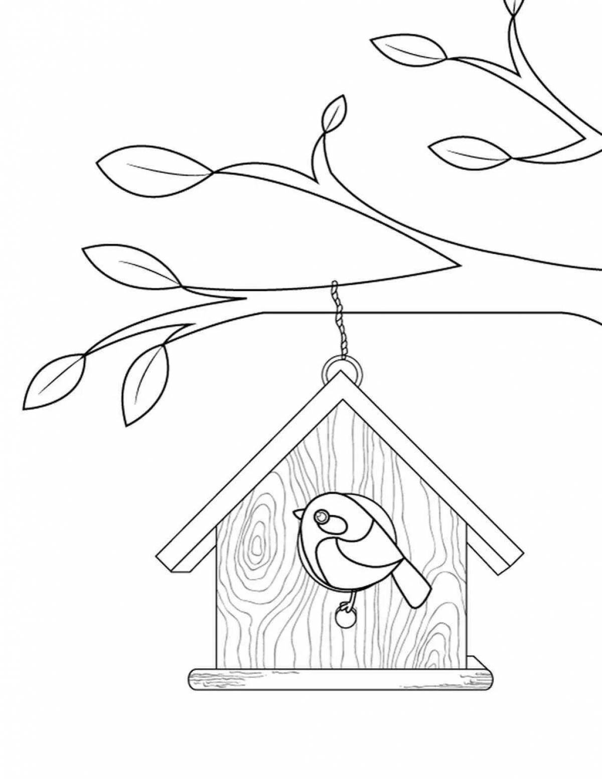 Coloring page wonderful bird feeder