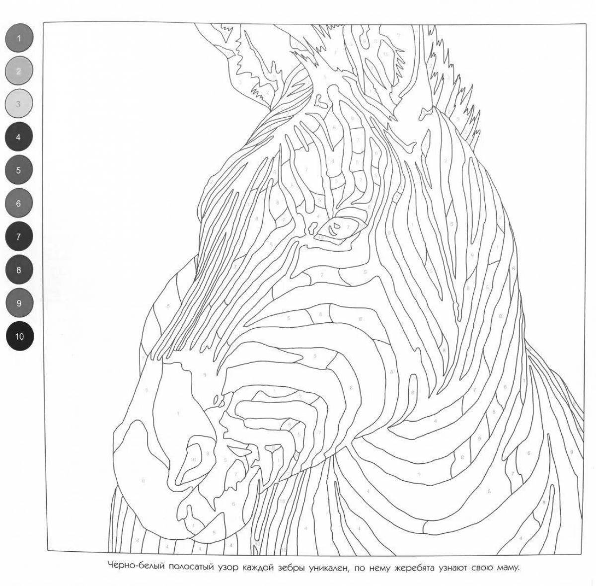 Complex by numbers with palette #9