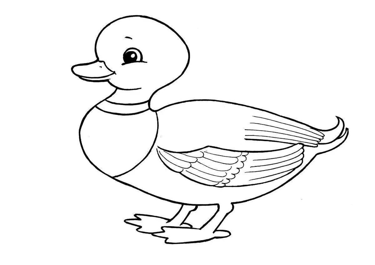 Красочная страница раскраски утка для детей 3-4 лет