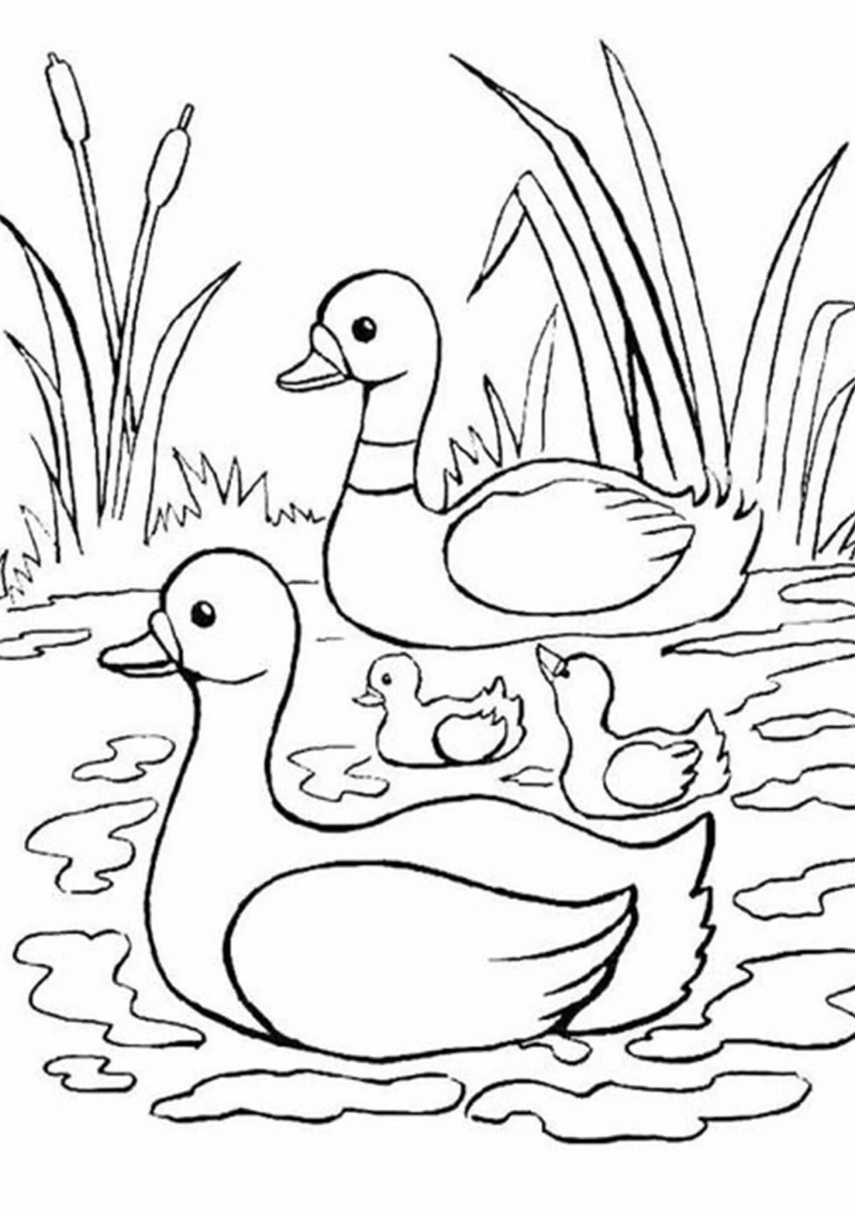 Раскраска «веселая утка» для детей 3-4 лет