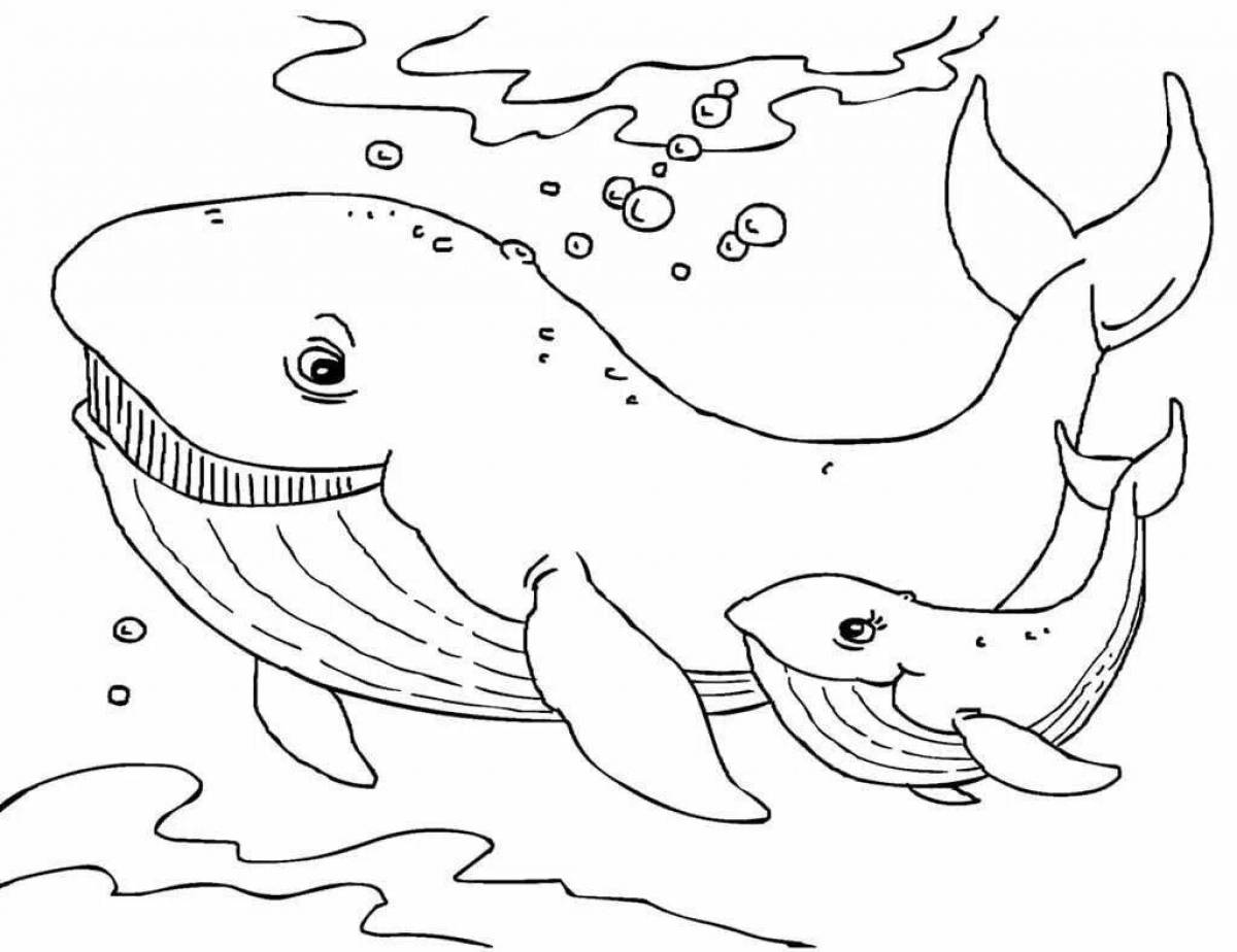 A fascinating coloring book inhabitants of the seas and oceans for children