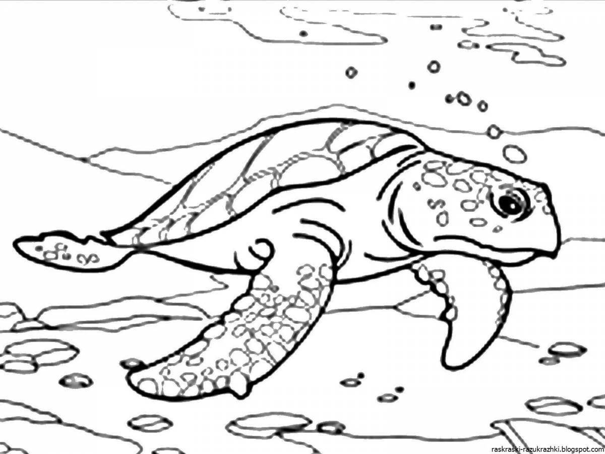 A beautiful coloring of the inhabitants of the seas and oceans for children