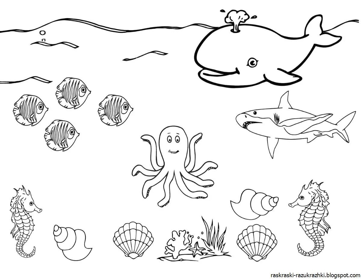 Обитатели морей и океанов для детей #19