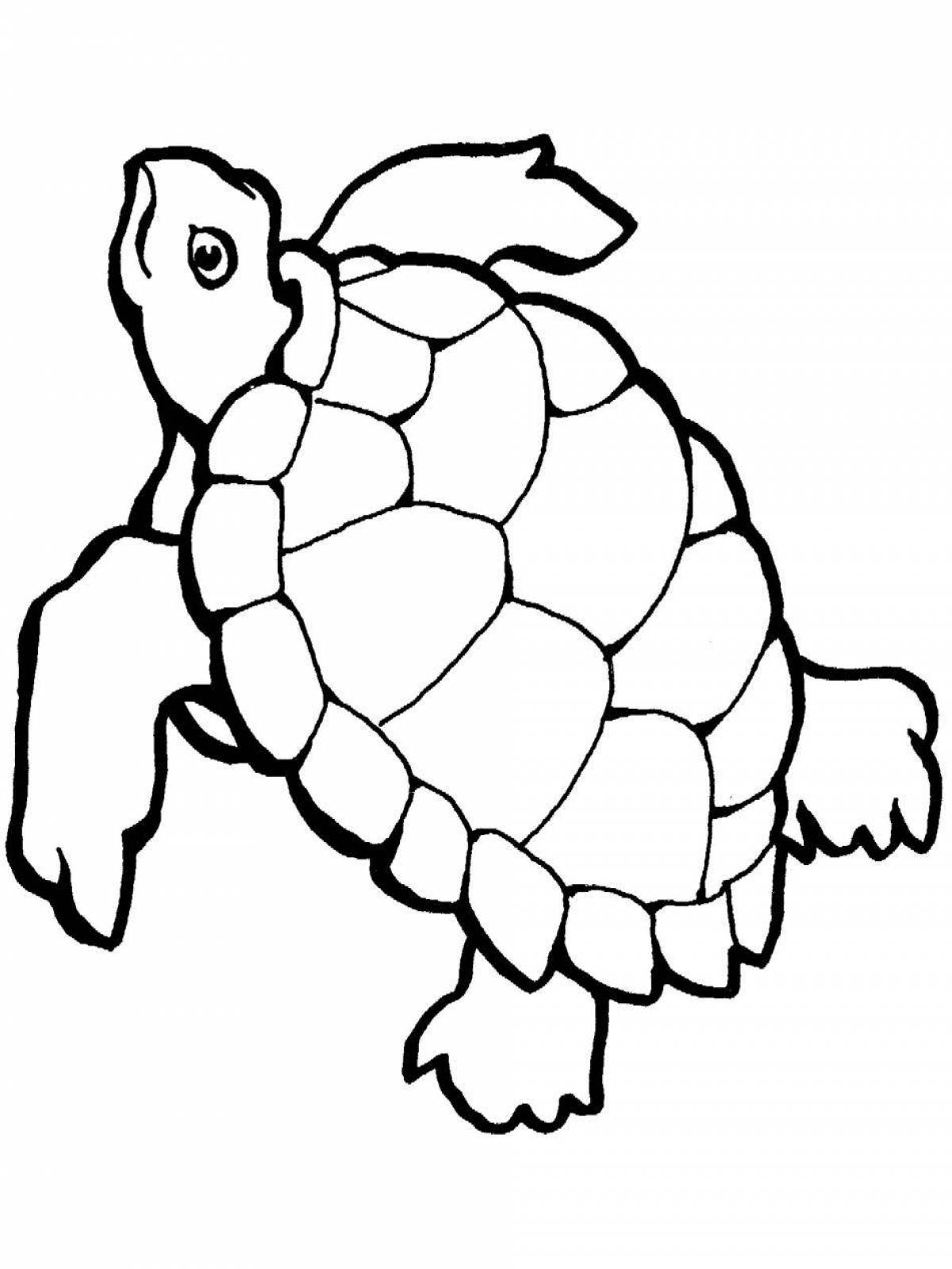 Морская черепаха раскраска. Черепаха раскраска. Черепашка раскраска для малышей. Черепаха рисунок для детей. Черепаха среднеазиатская сухопутная раскраска.