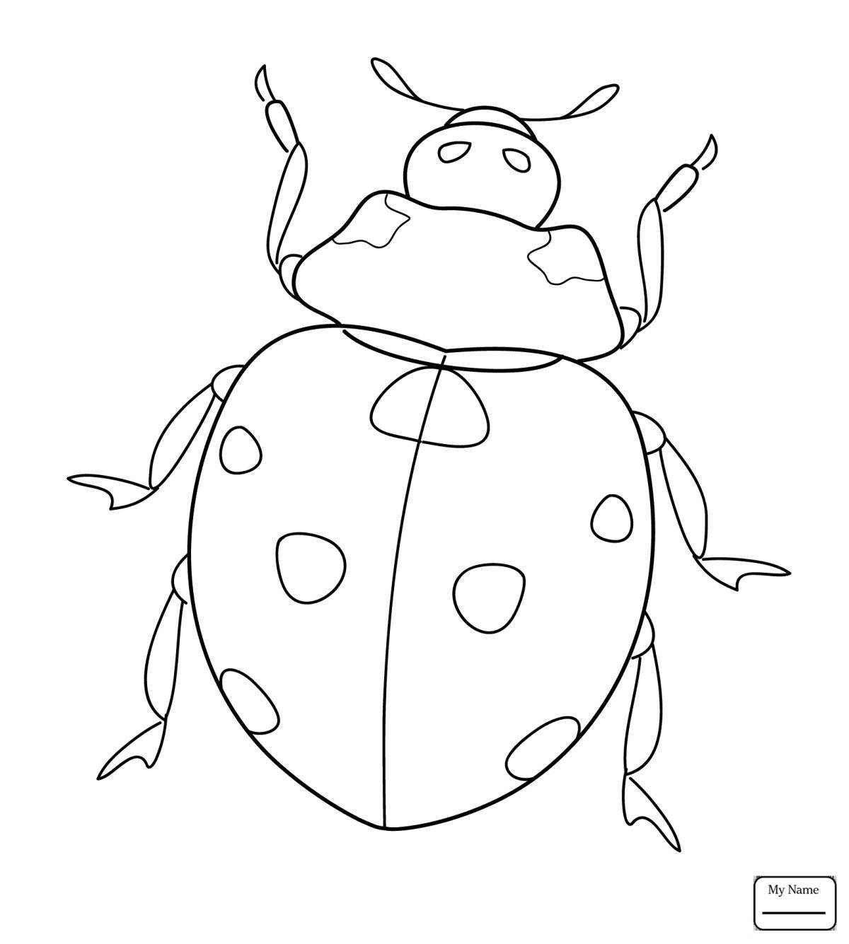 Colourful beetle coloring book for 3-4 year olds