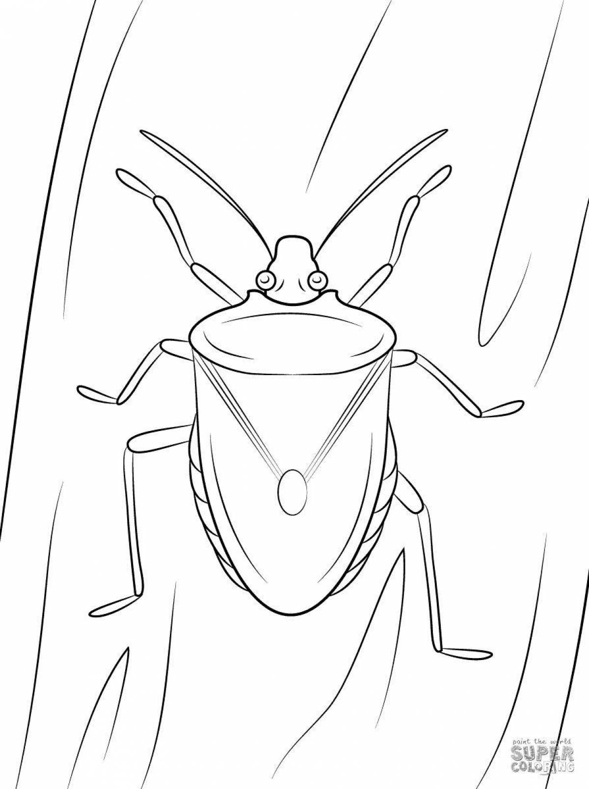 Fun beetle coloring book for 3-4 year olds