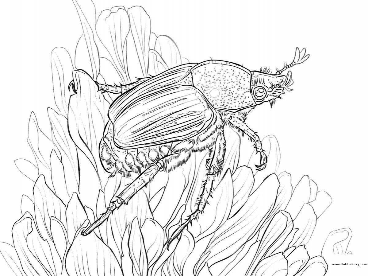 Amazing beetle coloring pages for 3-4 year olds