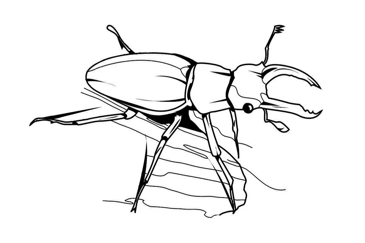 Adorable beetle coloring book for 3-4 year olds