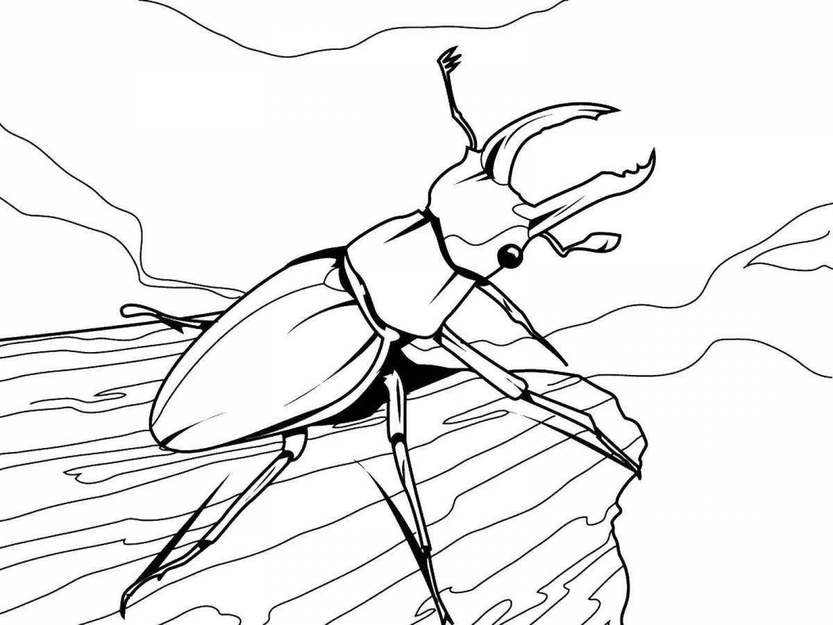 Intriguing beetle coloring book for 3-4 year olds