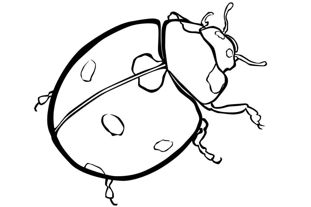 Великолепная раскраска жуки для детей 3-4 лет