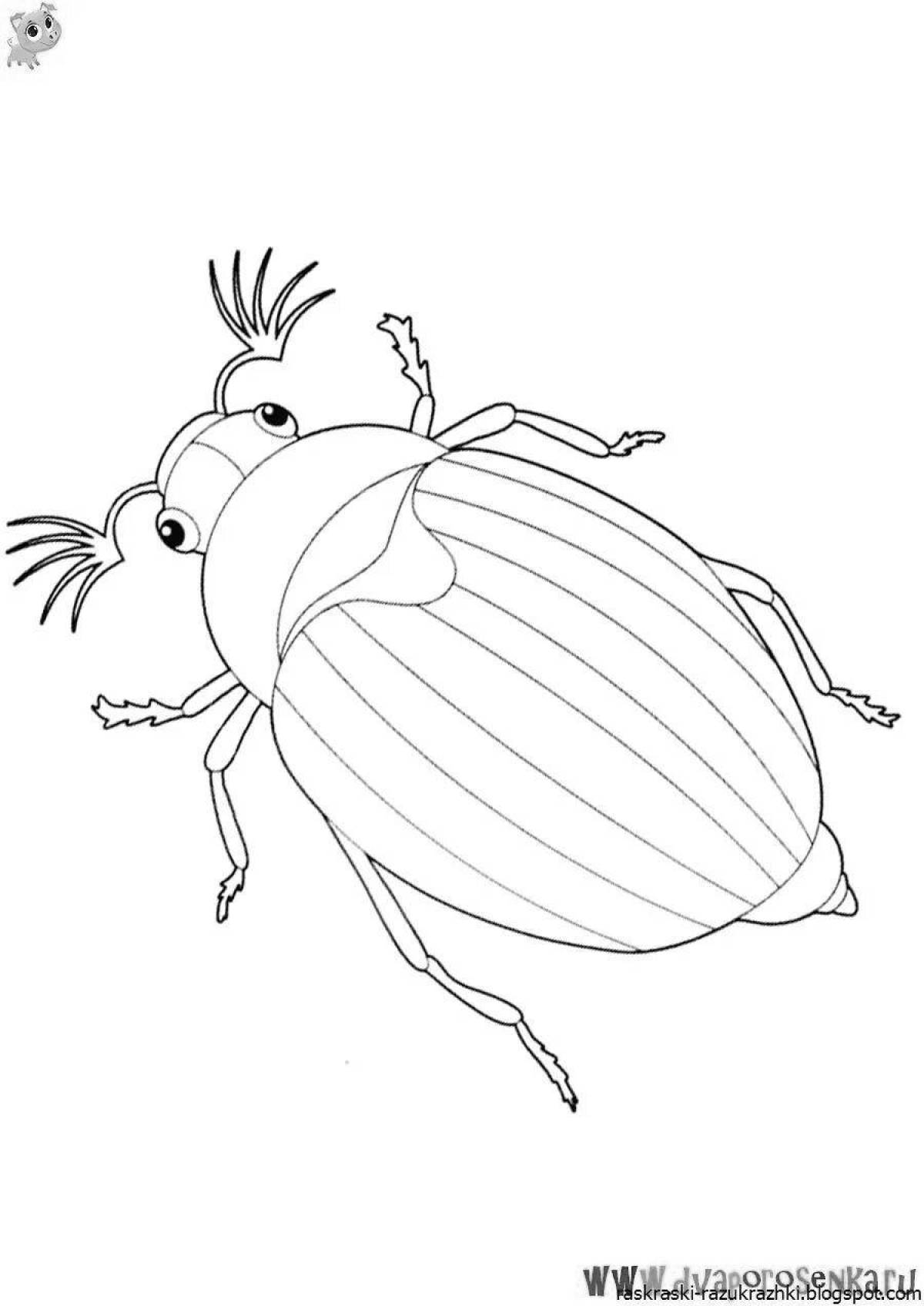 Outstanding beetle coloring pages for 3-4 year olds