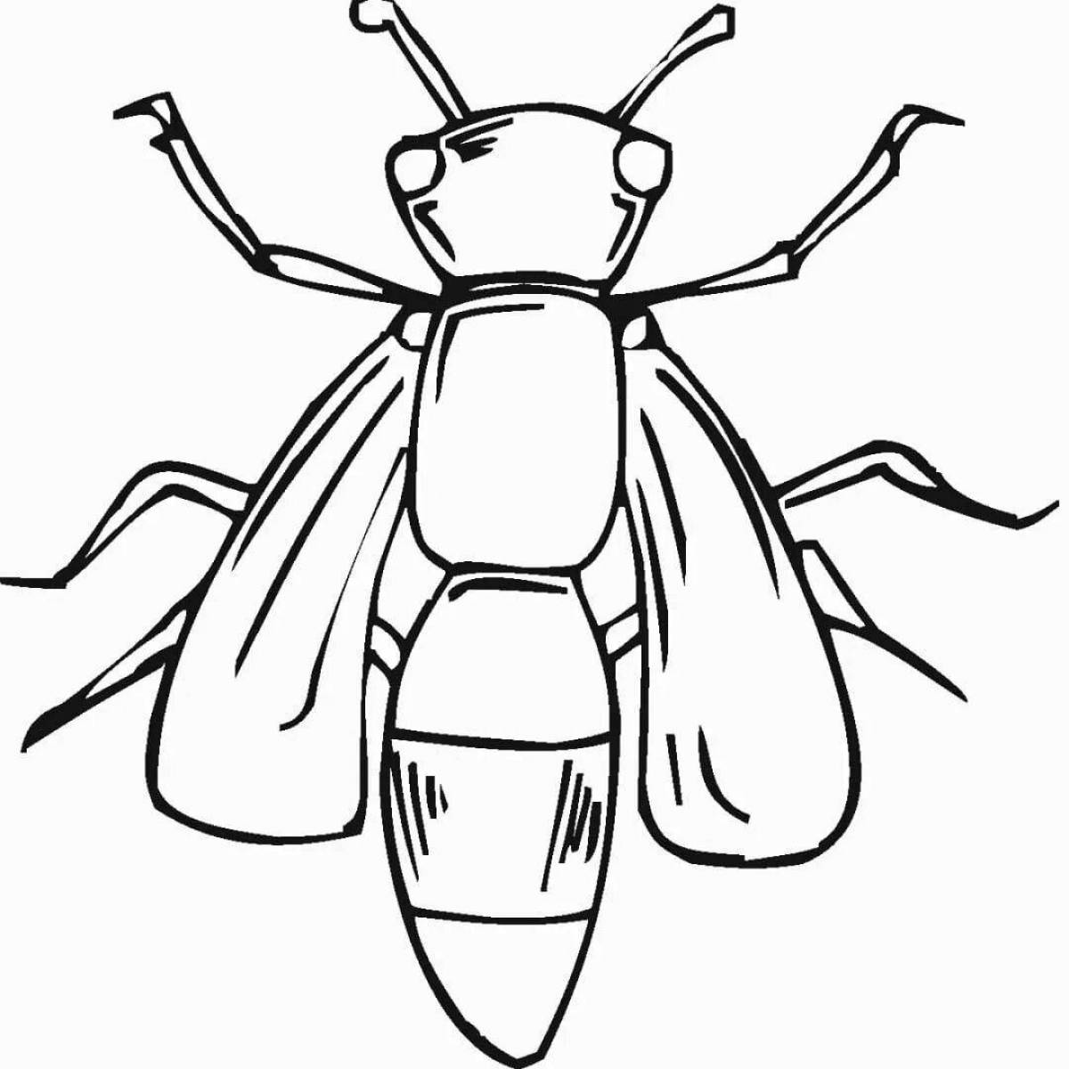 Impressive beetle coloring book for 3-4 year olds