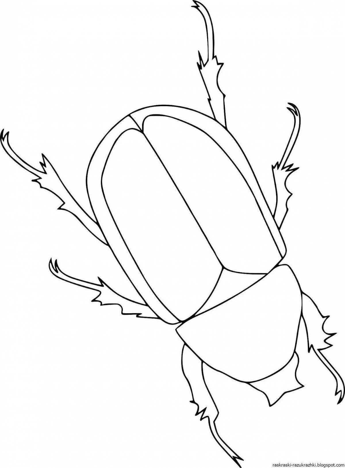 Great beetle coloring pages for 3-4 year olds
