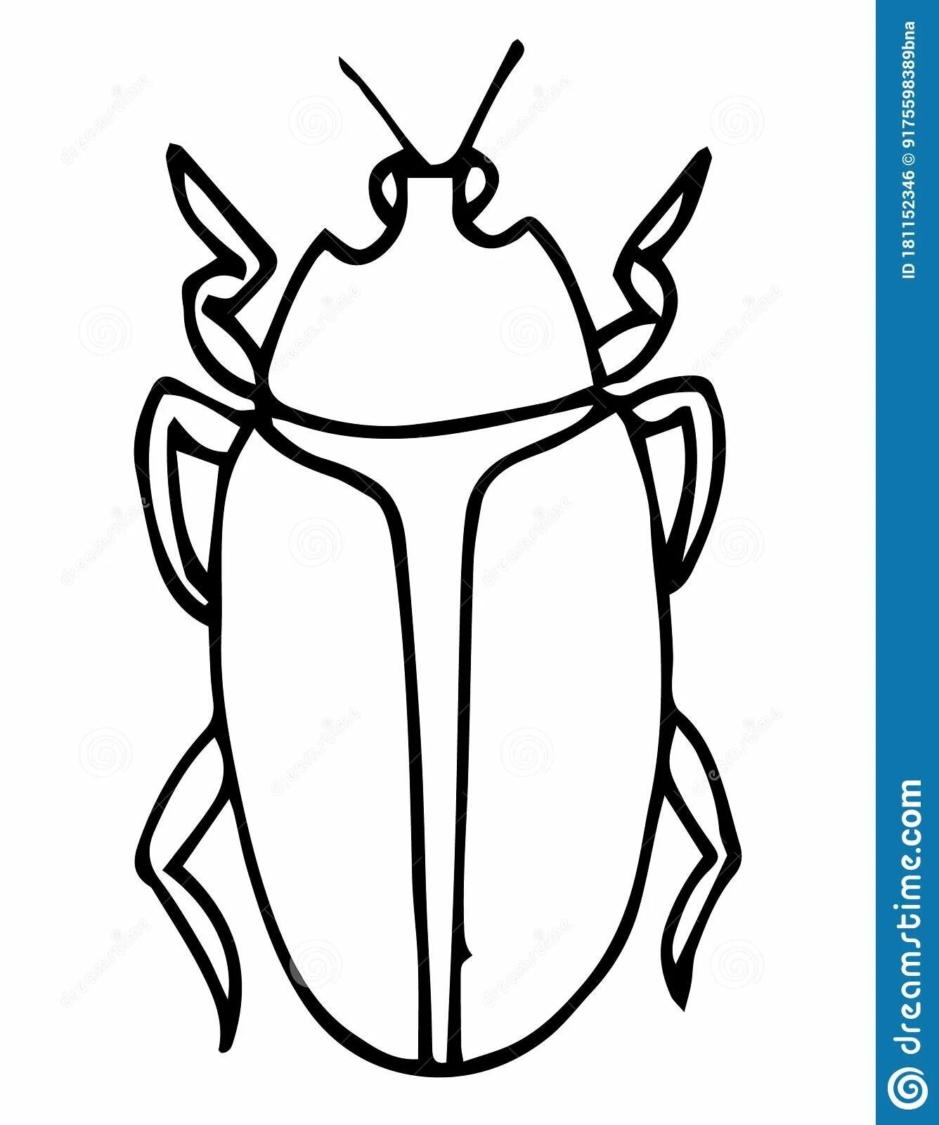 Distinctive beetle coloring pages for 3-4 year olds