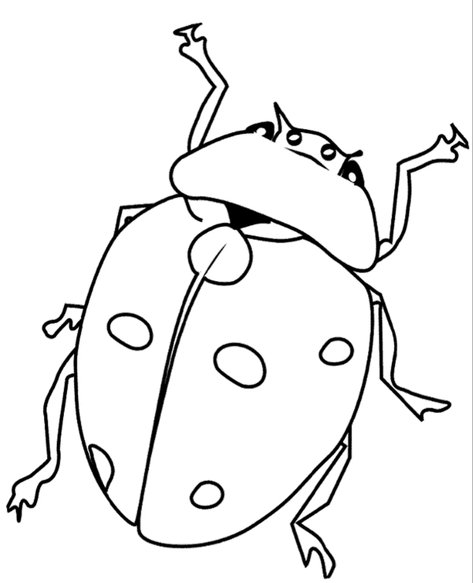 Инновационные раскраски жуки для детей 3-4 лет