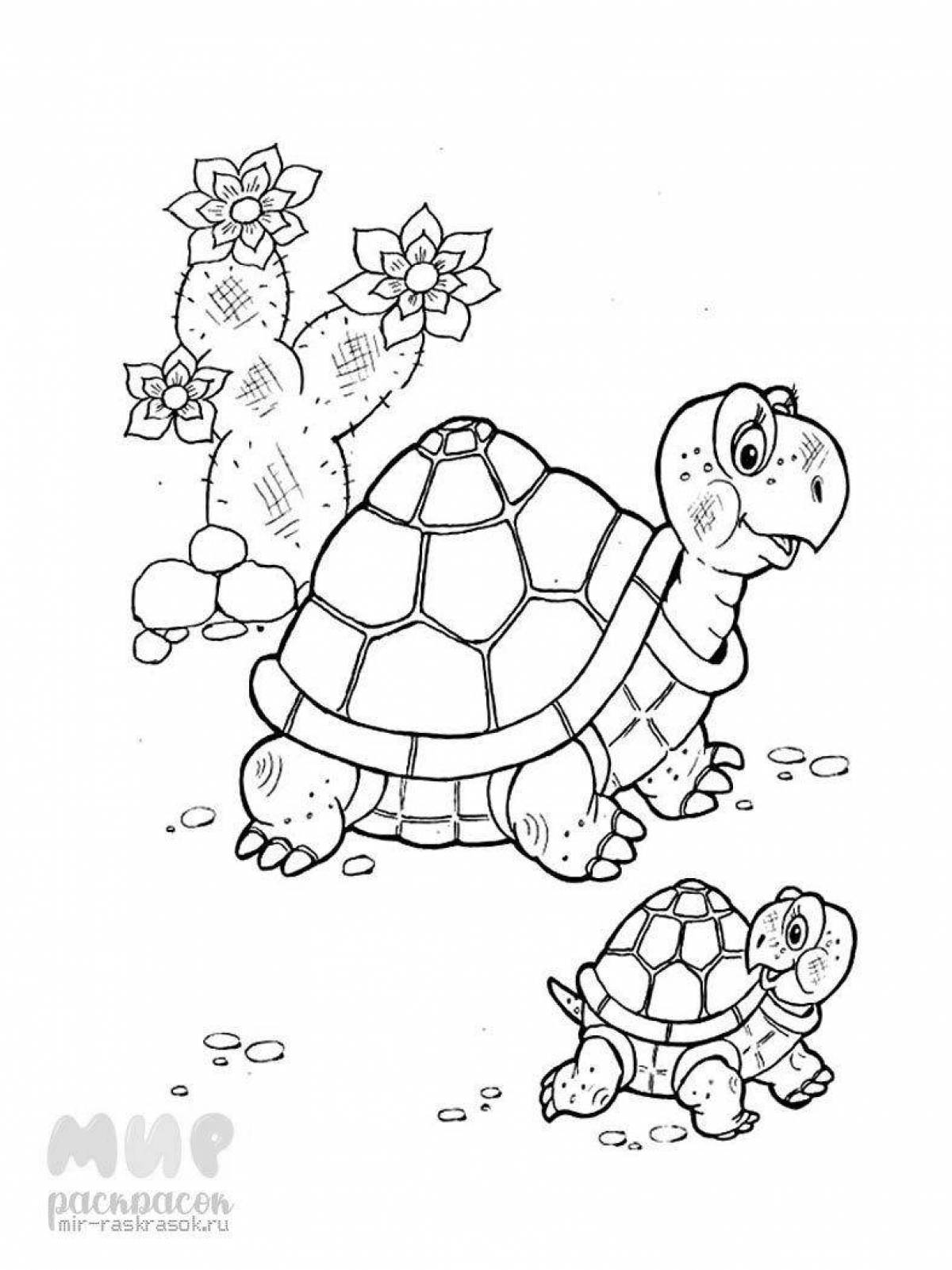 Веселая раскраска черепаха для детей 6-7 лет