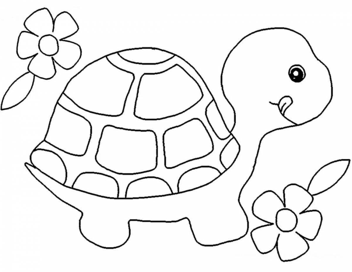 Playful turtle coloring book for 6-7 year olds