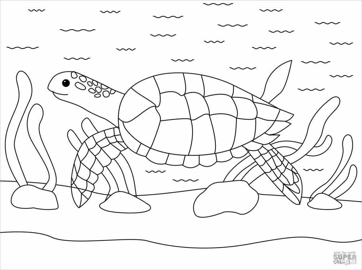 Раскраска милая черепаха для детей 6-7 лет