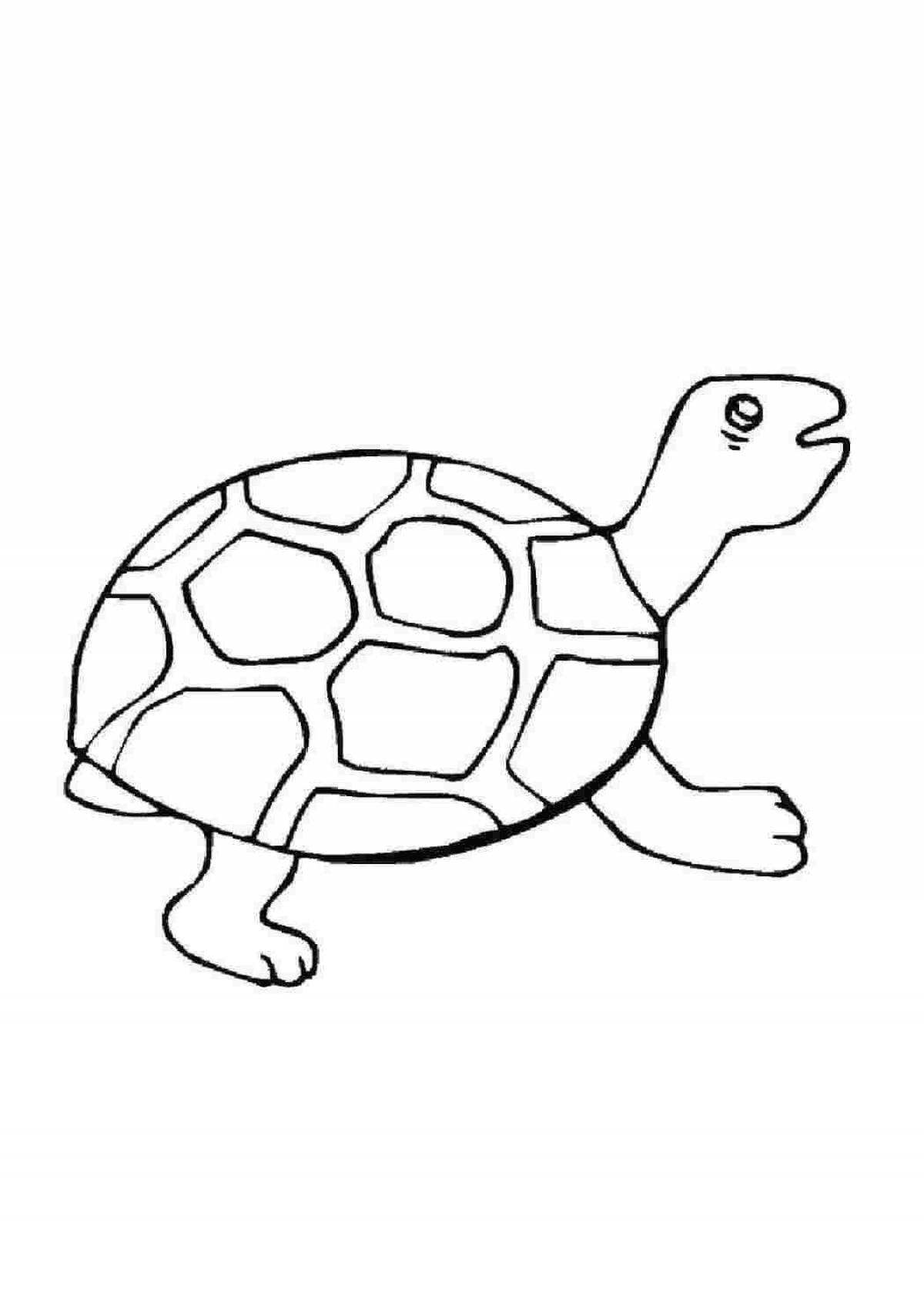 Сказочная черепаха-раскраска для детей 6-7 лет
