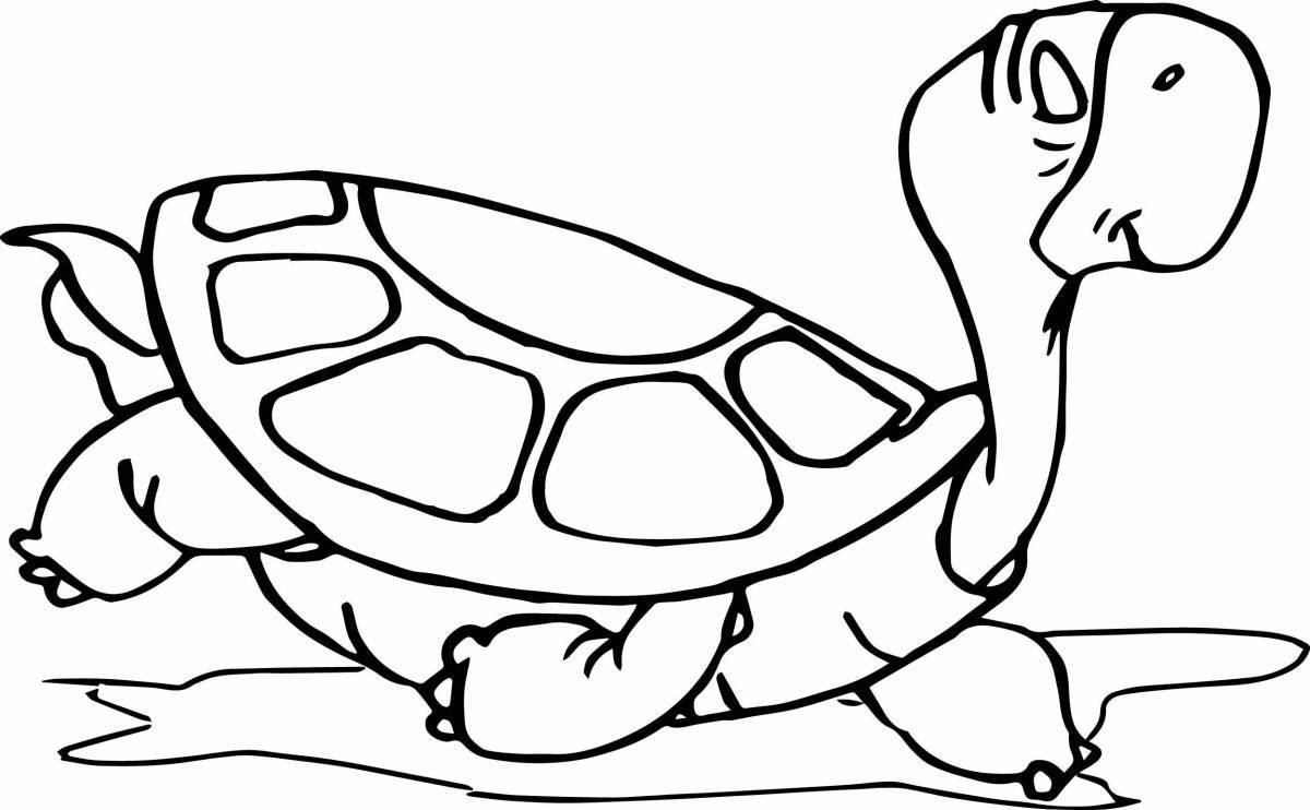 Цветная черепаха-раскраска для детей 6-7 лет