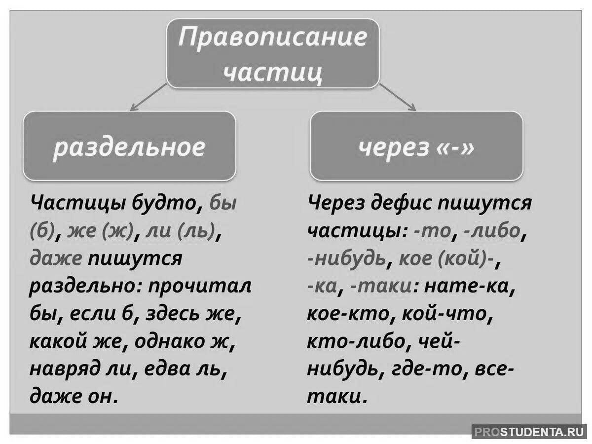 Раскраска 