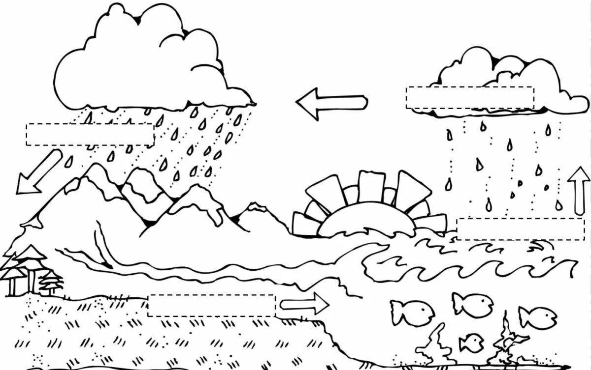The water cycle in nature for children