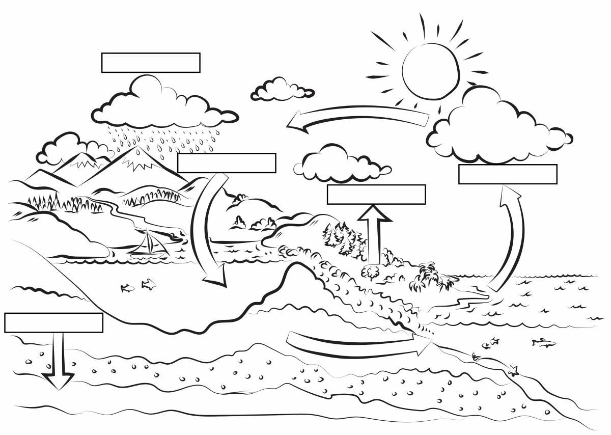 The water cycle for kids #3