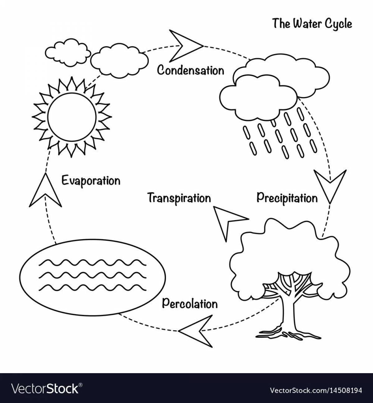 The water cycle for kids #12