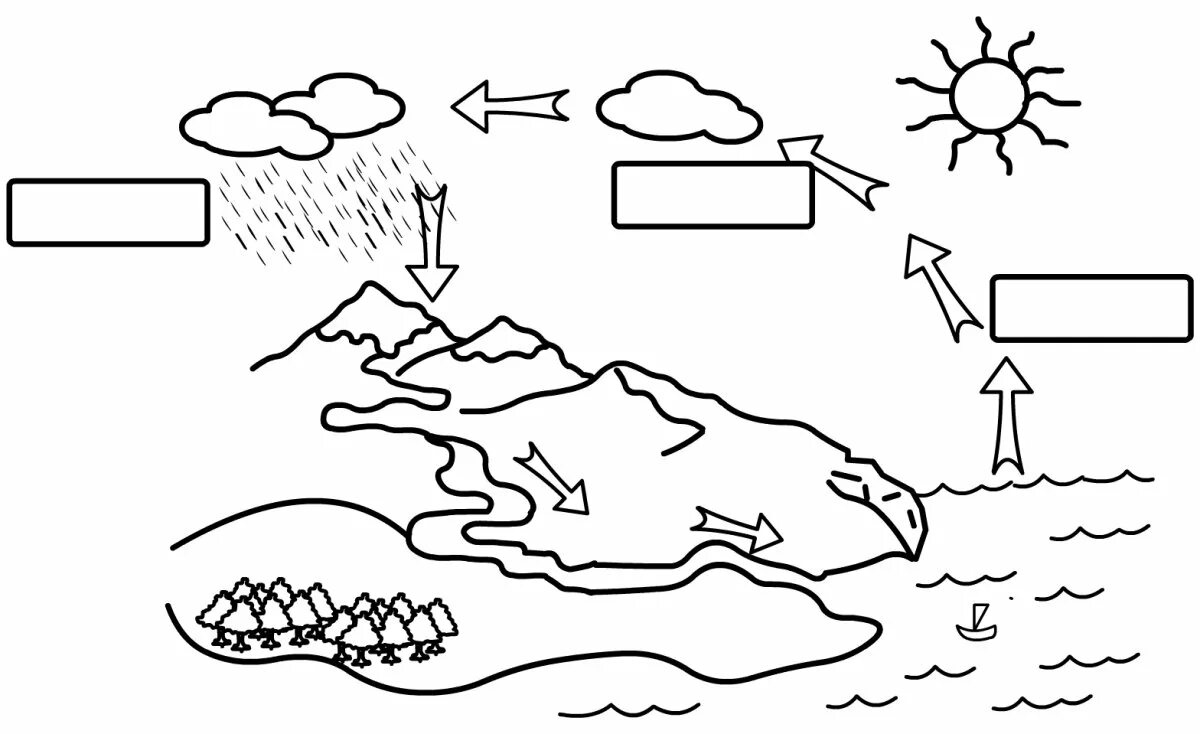 The water cycle for kids #15