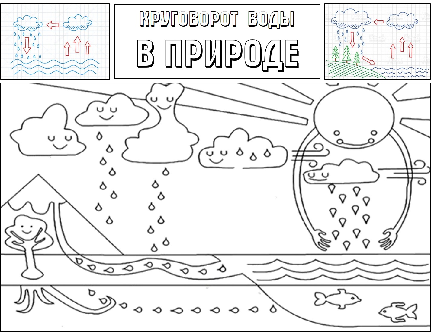 The water cycle for kids #16