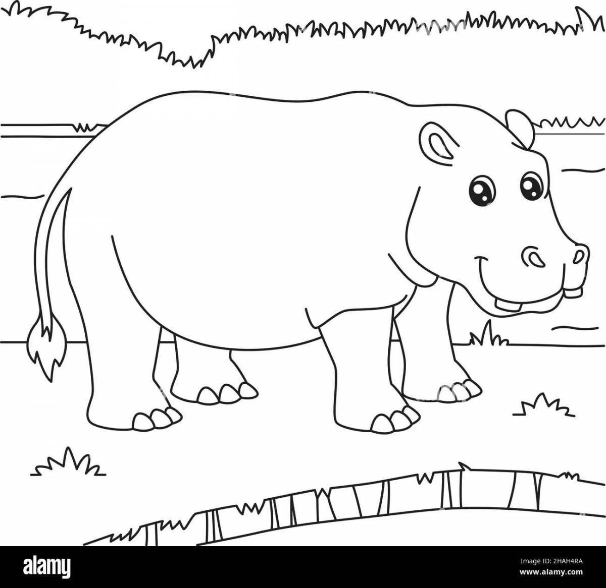 Colourful hippopotamus coloring book for children 3-4 years old