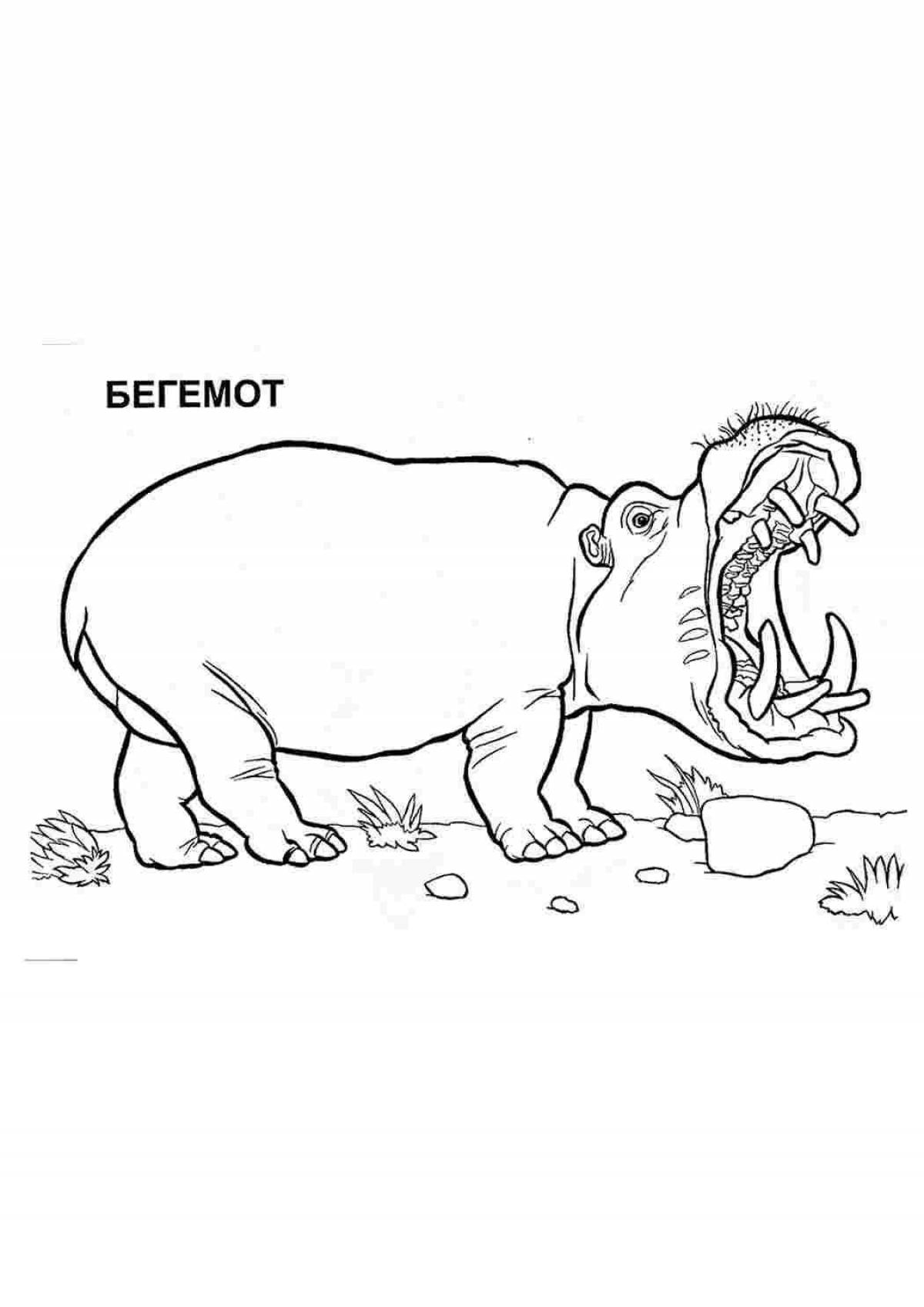 Hippo coloring page for kids 3-4 years old