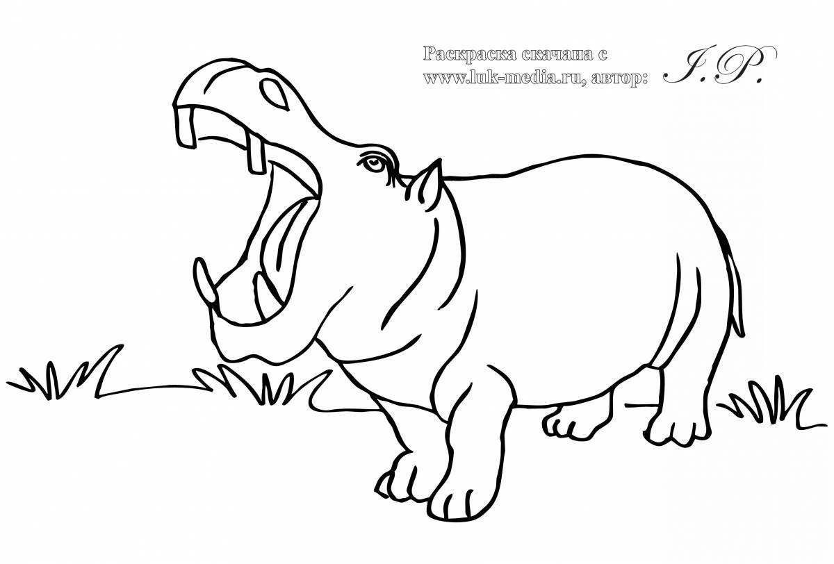 Live hippo coloring for children 3-4 years old